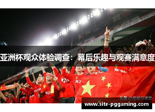 亚洲杯观众体验调查：幕后乐趣与观赛满意度