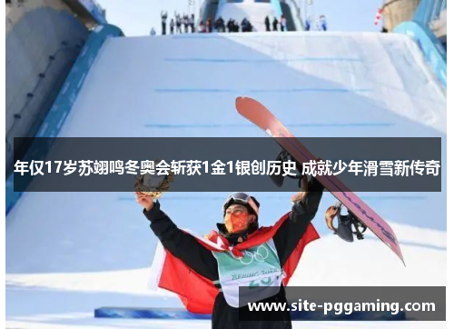 年仅17岁苏翊鸣冬奥会斩获1金1银创历史 成就少年滑雪新传奇