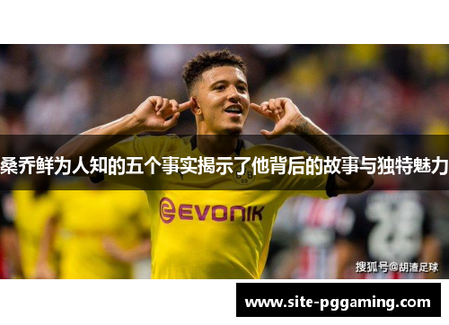 桑乔鲜为人知的五个事实揭示了他背后的故事与独特魅力