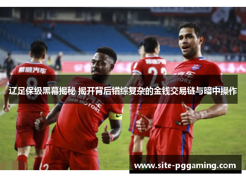 辽足保级黑幕揭秘 揭开背后错综复杂的金钱交易链与暗中操作