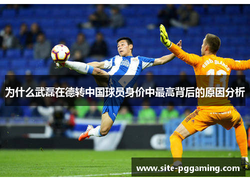 为什么武磊在德转中国球员身价中最高背后的原因分析 为什么武磊在德转中国球员身价中最高背后的原因分析
