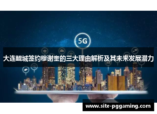 大连鲲城签约穆谢奎的三大理由解析及其未来发展潜力