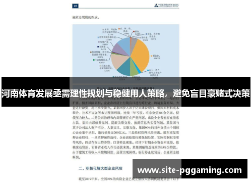 河南体育发展亟需理性规划与稳健用人策略，避免盲目豪赌式决策