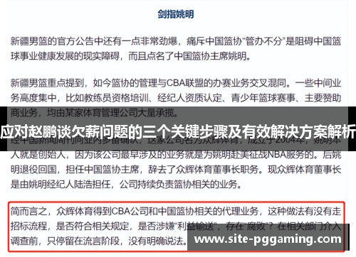 应对赵鹏谈欠薪问题的三个关键步骤及有效解决方案解析