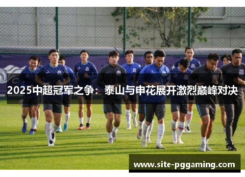 2025中超冠军之争：泰山与申花展开激烈巅峰对决
