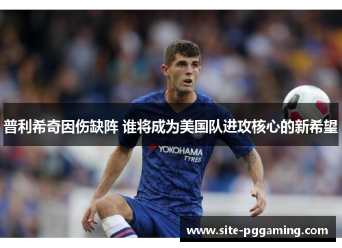 普利希奇因伤缺阵 谁将成为美国队进攻核心的新希望 普利希奇因伤缺阵 谁将成为美国队进攻核心的新希望