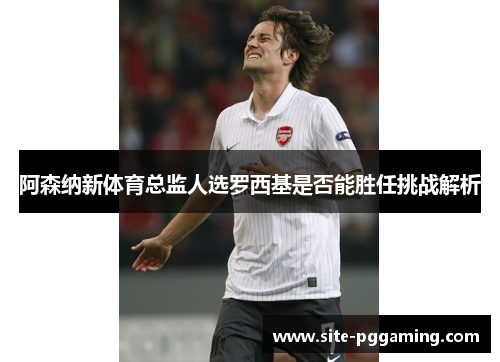 阿森纳新体育总监人选罗西基是否能胜任挑战解析