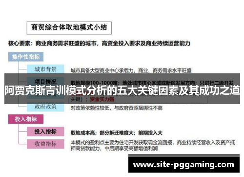 阿贾克斯青训模式分析的五大关键因素及其成功之道