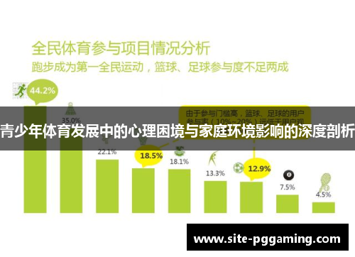 青少年体育发展中的心理困境与家庭环境影响的深度剖析