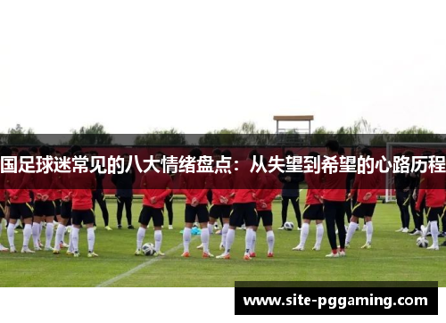 国足球迷常见的八大情绪盘点：从失望到希望的心路历程