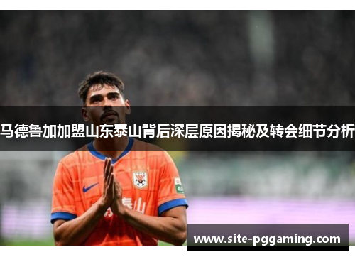 马德鲁加加盟山东泰山背后深层原因揭秘及转会细节分析