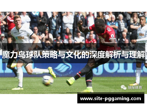 魔力鸟球队策略与文化的深度解析与理解 魔力鸟球队策略与文化的深度解析与理解