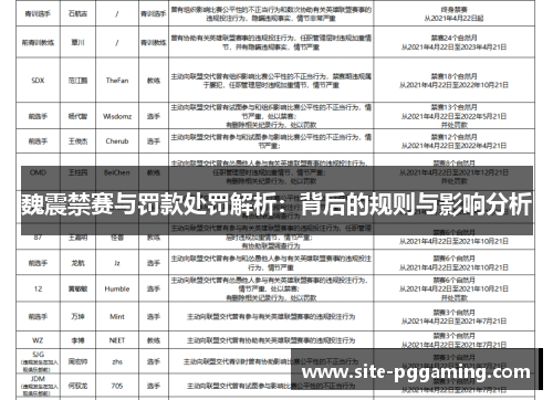 魏震禁赛与罚款处罚解析：背后的规则与影响分析