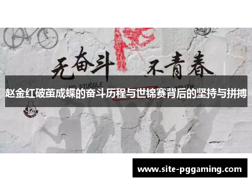 赵金红破茧成蝶的奋斗历程与世锦赛背后的坚持与拼搏