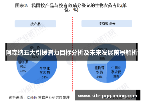 阿森纳五大引援潜力目标分析及未来发展前景解析 阿森纳五大引援潜力目标分析及未来发展前景解析