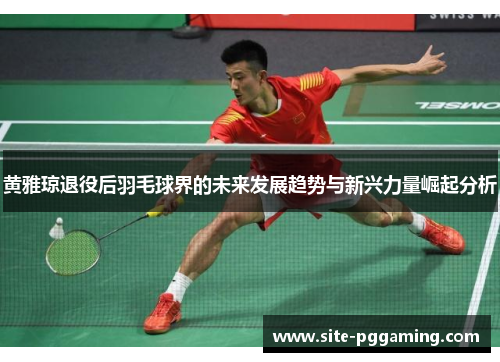 黄雅琼退役后羽毛球界的未来发展趋势与新兴力量崛起分析